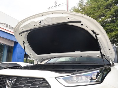 皇冠陆放细节实拍图