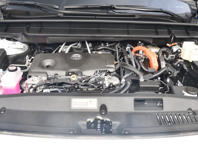 皇冠陆放细节实拍图